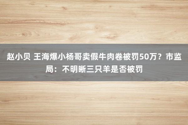 赵小贝 王海爆小杨哥卖假牛肉卷被罚50万？市监局：不明晰三只羊是否被罚