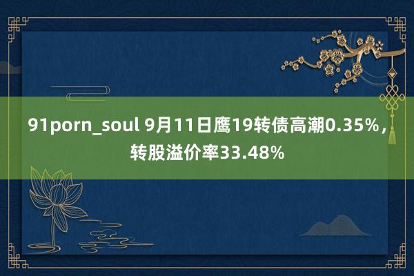 91porn_soul 9月11日鹰19转债高潮0.35%，转股溢价率33.48%