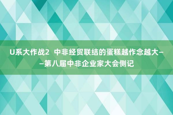 U系大作战2  中非经贸联结的蛋糕越作念越大——第八届中非企业家大会侧记