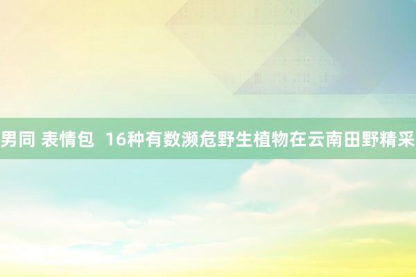 男同 表情包  16种有数濒危野生植物在云南田野精采