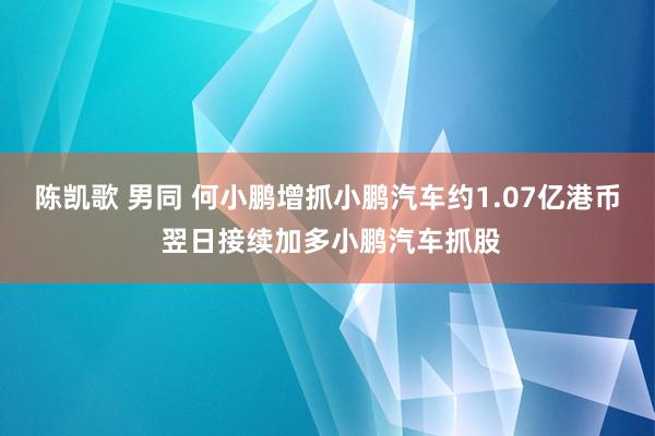 陈凯歌 男同 何小鹏增抓小鹏汽车约1.07亿港币 翌日接续加多小鹏汽车抓股