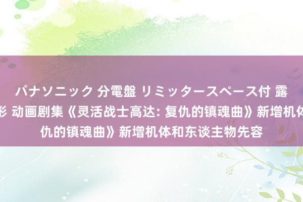 パナソニック 分電盤 リミッタースペース付 露出・半埋込両用形 动画剧集《灵活战士高达: 复仇的镇魂曲》新增机体和东谈主物先容