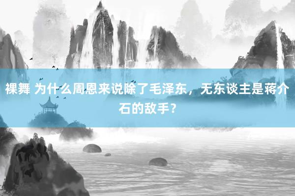 裸舞 为什么周恩来说除了毛泽东，无东谈主是蒋介石的敌手？