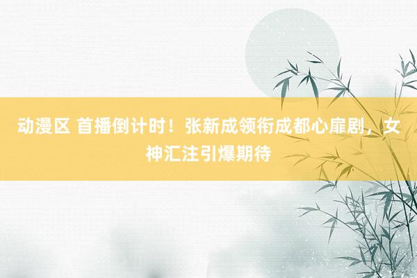 动漫区 首播倒计时！张新成领衔成都心扉剧，女神汇注引爆期待