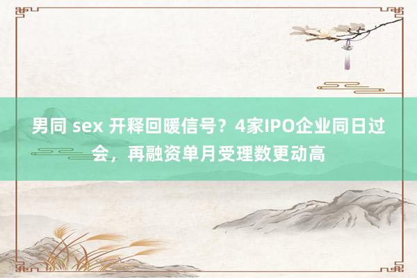 男同 sex 开释回暖信号？4家IPO企业同日过会，再融资单月受理数更动高