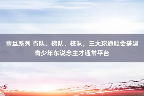 蕾丝系列 省队、梯队、校队，三大球通顺会搭建青少年东说念主才通常平台