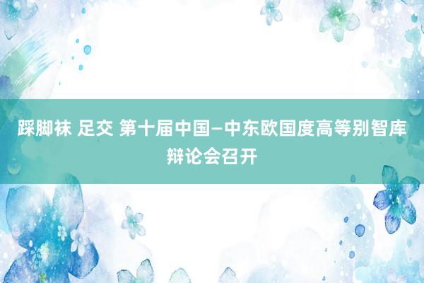 踩脚袜 足交 第十届中国—中东欧国度高等别智库辩论会召开