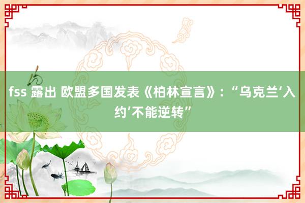 fss 露出 欧盟多国发表《柏林宣言》: “乌克兰‘入约’不能逆转”