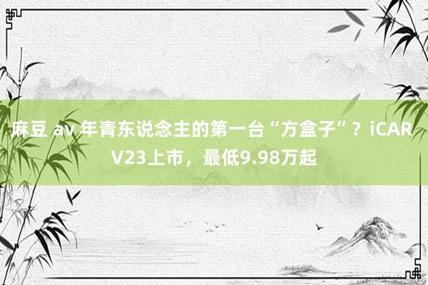 麻豆 av 年青东说念主的第一台“方盒子”？iCAR V23上市，最低9.98万起