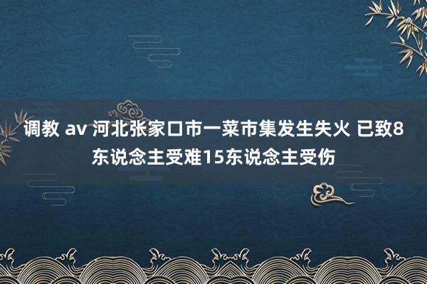 调教 av 河北张家口市一菜市集发生失火 已致8东说念主受难15东说念主受伤