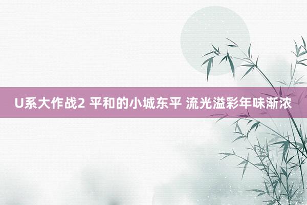 U系大作战2 平和的小城东平 流光溢彩年味渐浓