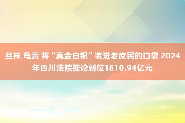 丝袜 龟责 将“真金白银”装进老庶民的口袋 2024年四川法院推论到位1810.94亿元