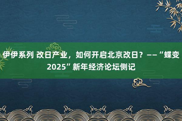 伊伊系列 改日产业，如何开启北京改日？——“蝶变2025”新年经济论坛侧记