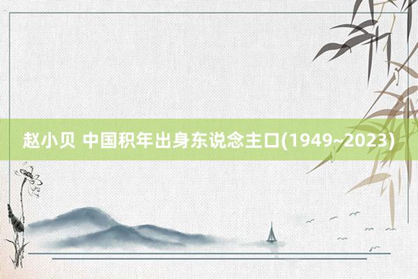 赵小贝 中国积年出身东说念主口(1949~2023)