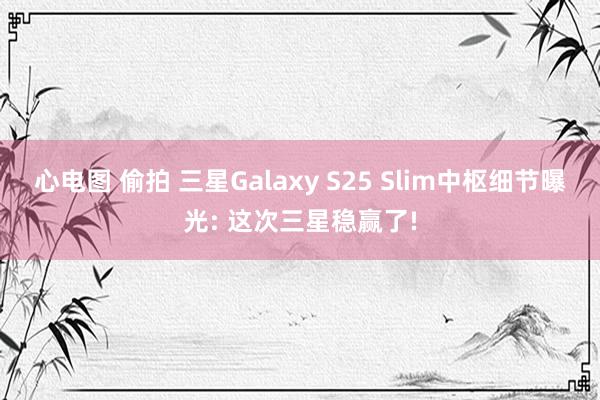 心电图 偷拍 三星Galaxy S25 Slim中枢细节曝光: 这次三星稳赢了!